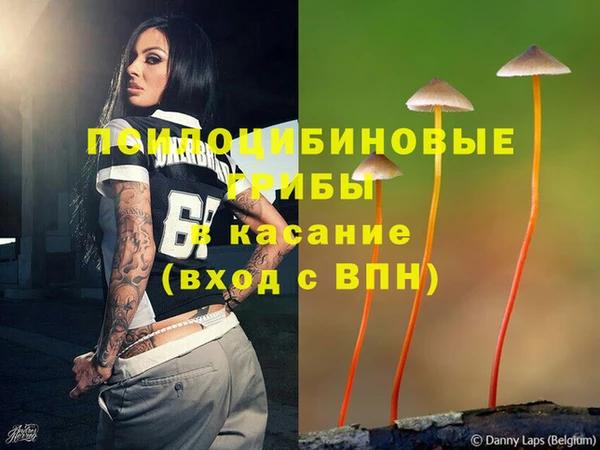 спиды Арсеньев