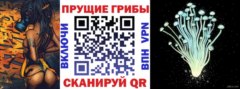 Псилоцибиновые грибы Psilocybine cubensis  Стрежевой 